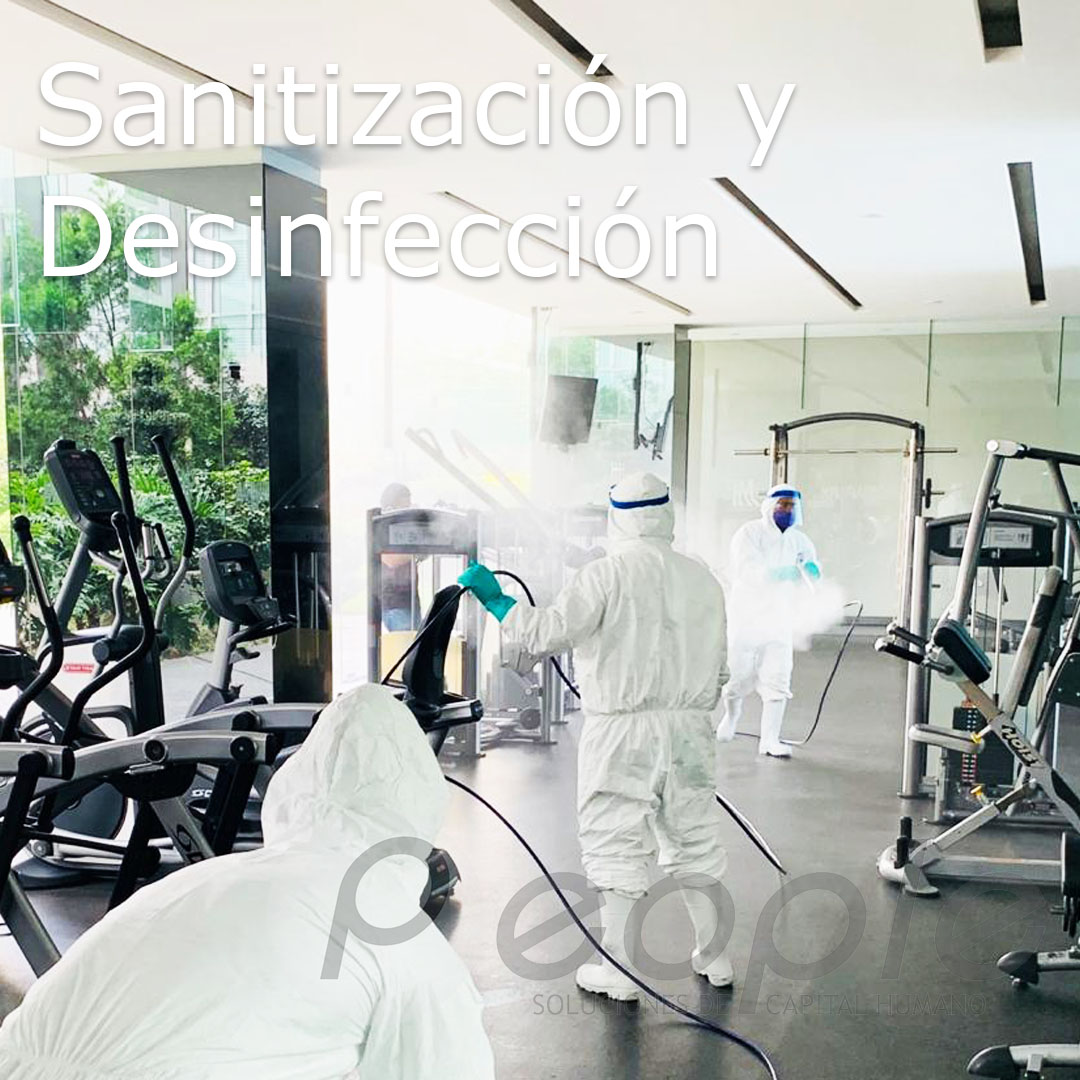 Coronavirus covid 19